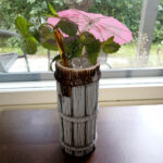 Read more about the article Mai Tai (Trader Vic)